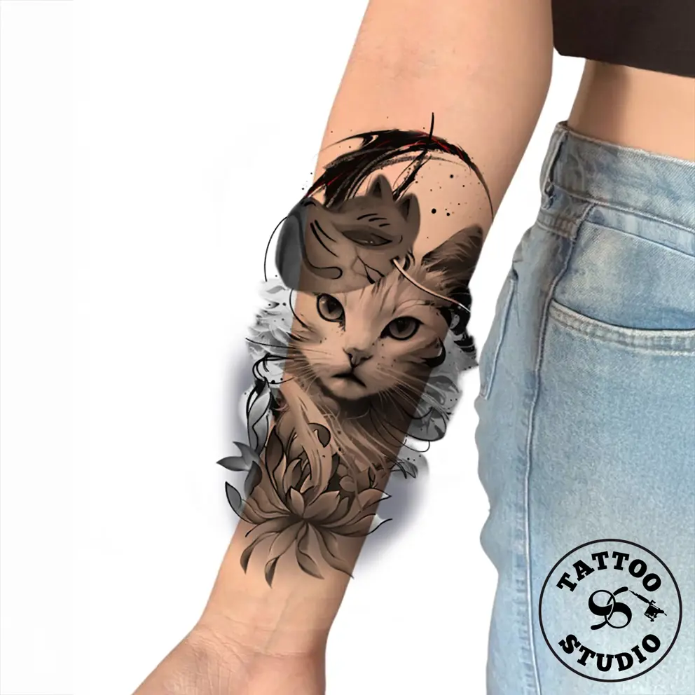 Sasha - Cat 2 