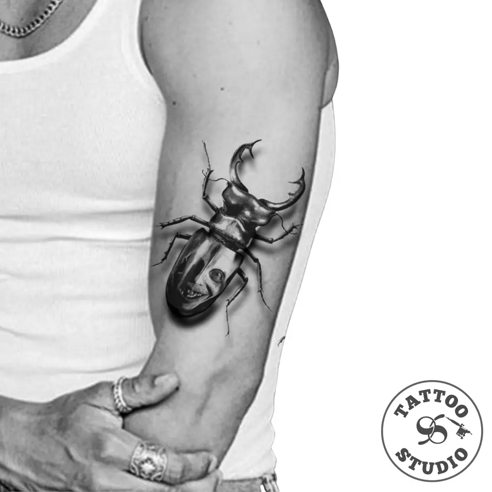 Kola - Beetle 1 
