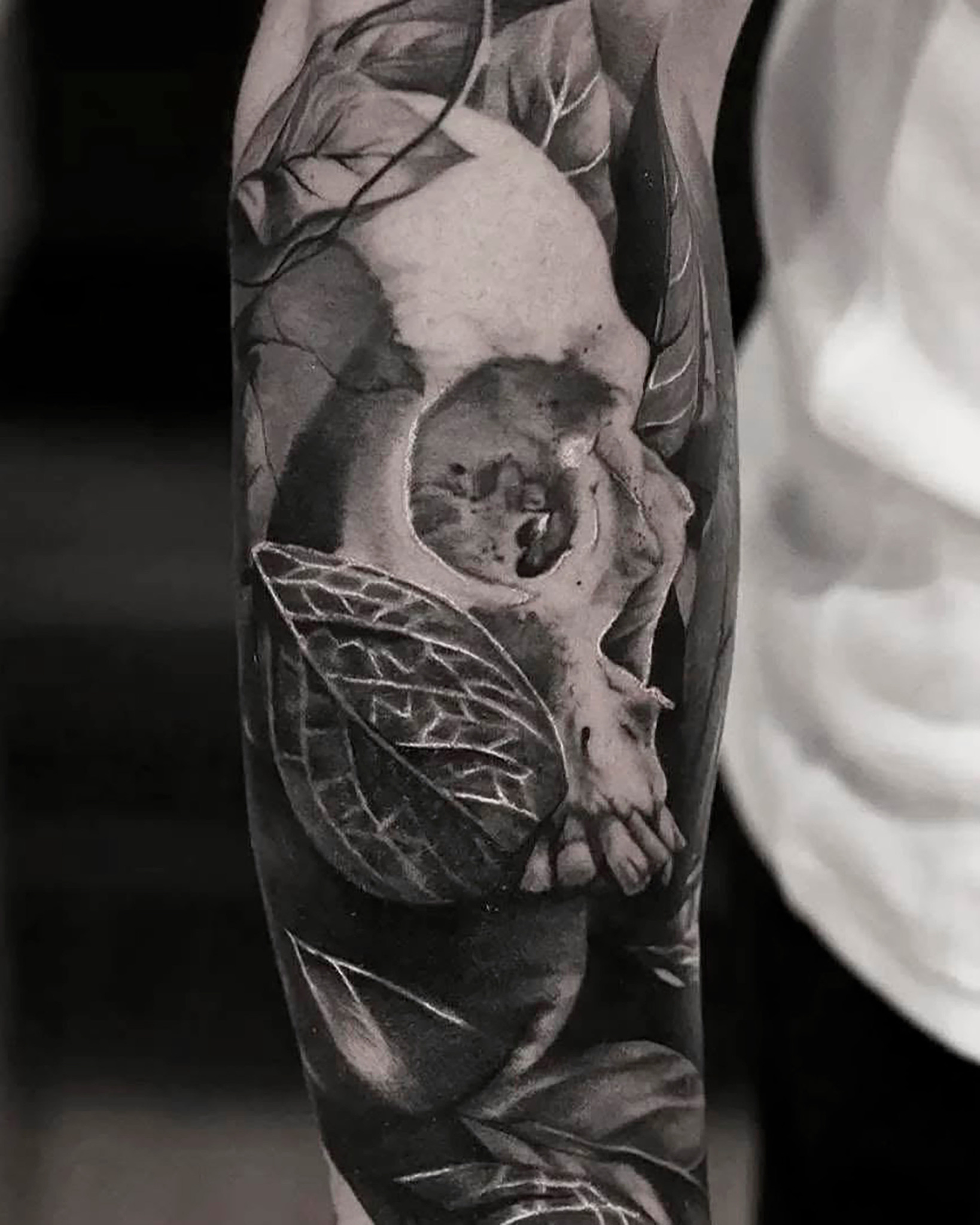 realism tatovering Marti tattoo studio 96 aarhus 