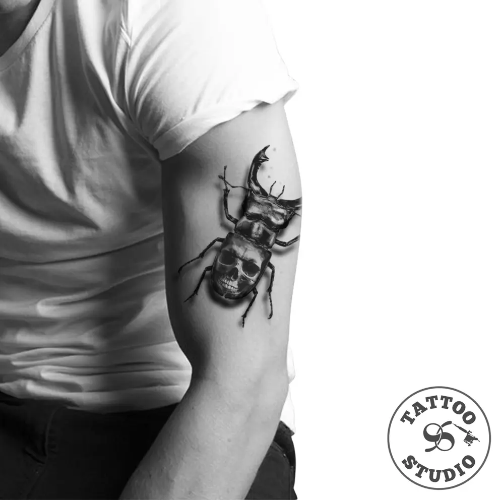 Kola - Beetle 2 