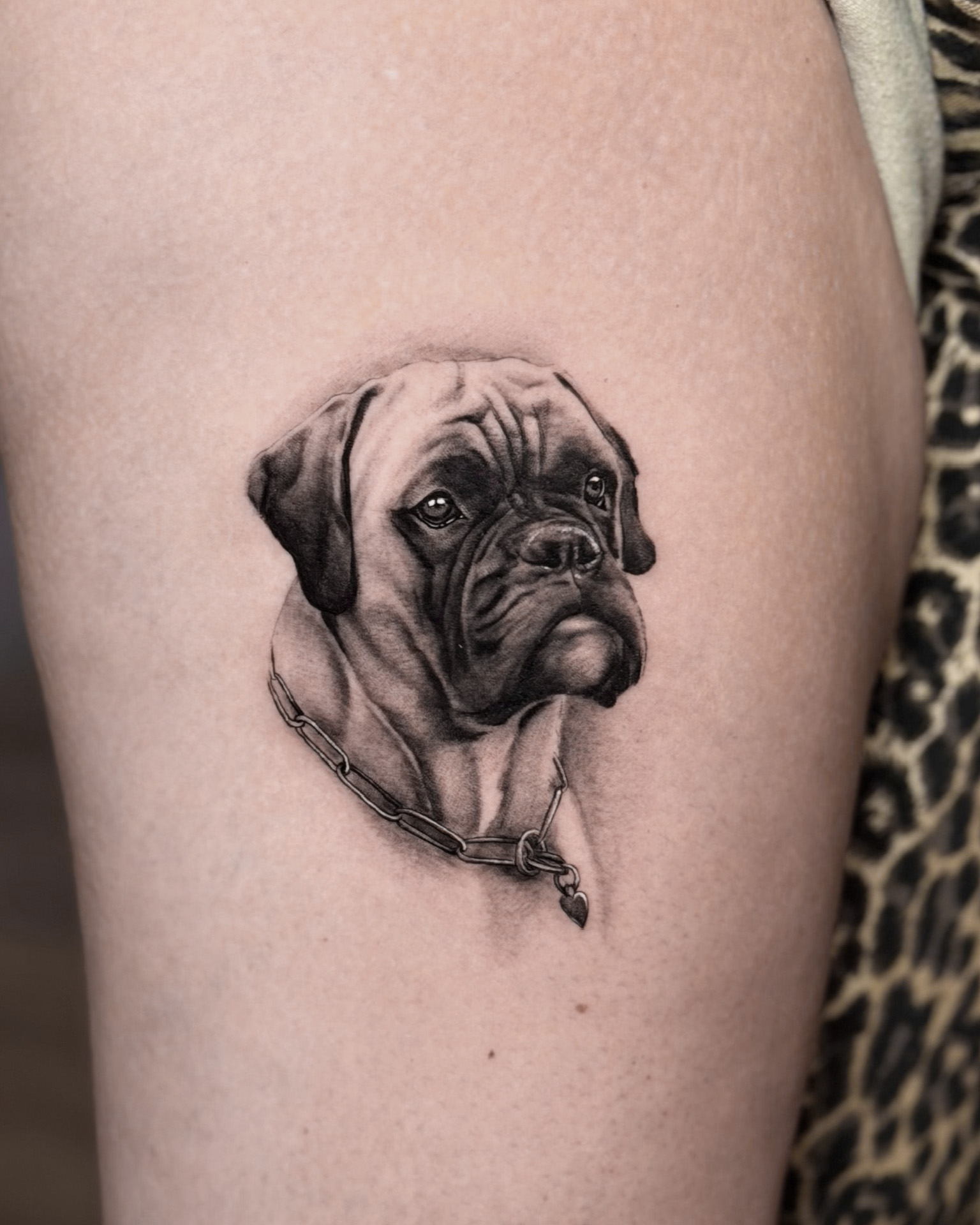 Realistic dog portrait